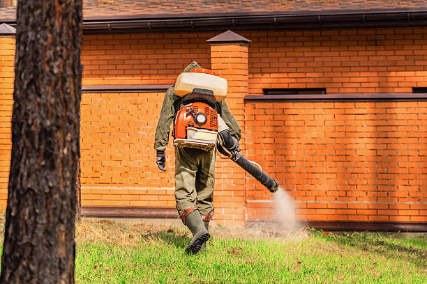 Bed Bug Clearance Verification and Documentation in Primera